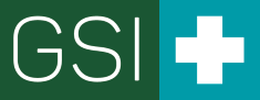 logo sistema